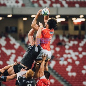 德天空确认，法兰克福敲定德乙锋霸埃布努塔利布，800万欧元投资未来