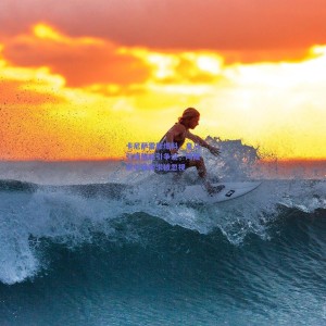 卡尼萨雷斯爆料，皇马引援策略引争议，阿隆索中场需求被忽视